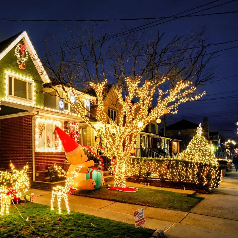 LED Plastic Leath Solar Powered Outdoor Fairy Lights IP65 Waterproof 8 Lighting Modes for Christmas Wedding Decoration