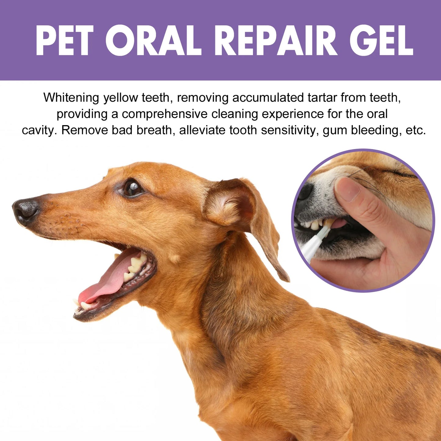 Pet Oral Repair Gel Puppy Tartar Removal Odor Eliminator Whiten Cats Dogs Teeth Stain Remover Gum Care Pet Teeth Cleaning Gel
