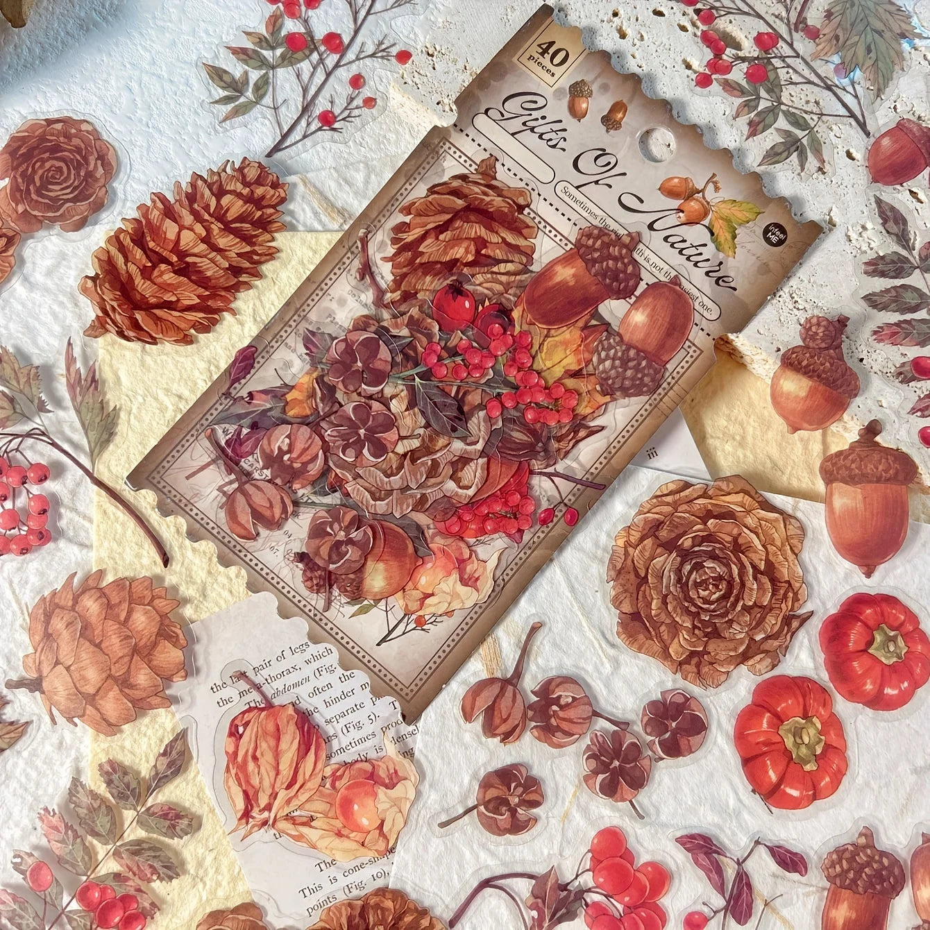 40 sheets Autumn Leaf Mushroom Theme Stickers pack Journal Diy Scrapbooking Supplies Diary Album Aesthetic Stationery Sticker